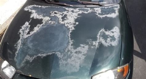 How to Fix Sun Damaged Paint on Car: Why Does the Sun Hate My Car So Much?