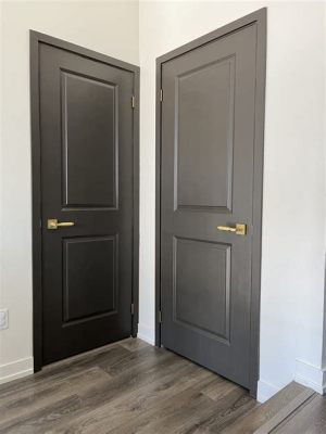 How to Paint Interior Doors Black: A Symphony of Shadows and Light